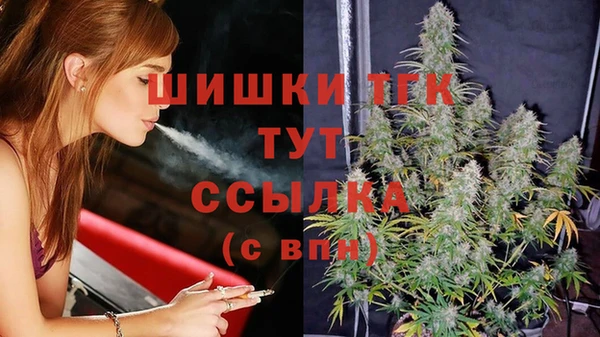 индика Инта
