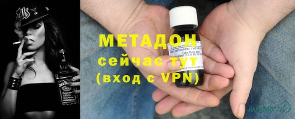 индика Инта