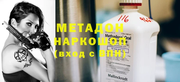 индика Инта