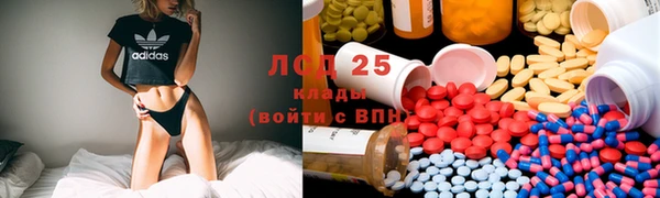 ALPHA PVP Инсар