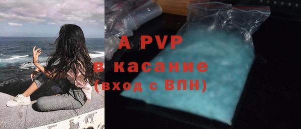 индика Инта