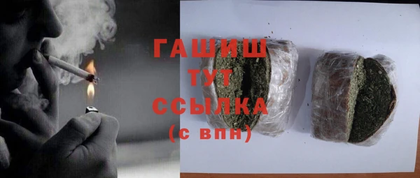 индика Инта