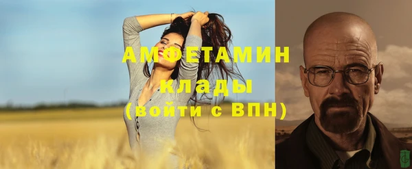 стаф Иннополис