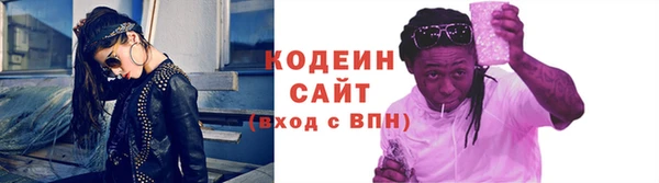индика Инта