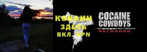 индика Инта