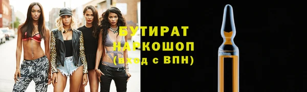 индика Инта