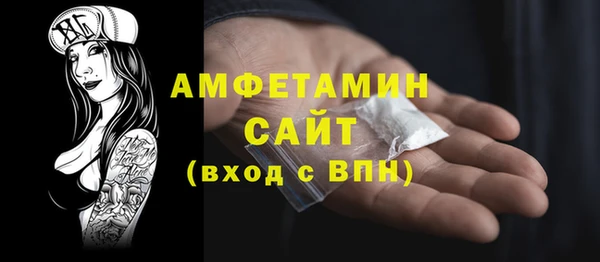индика Инта