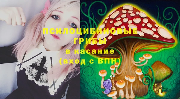 индика Инта