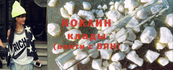 индика Инта
