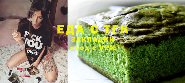индика Инта