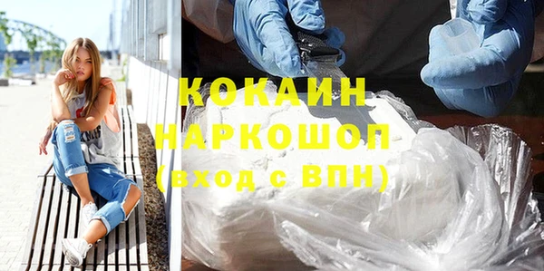 индика Инта