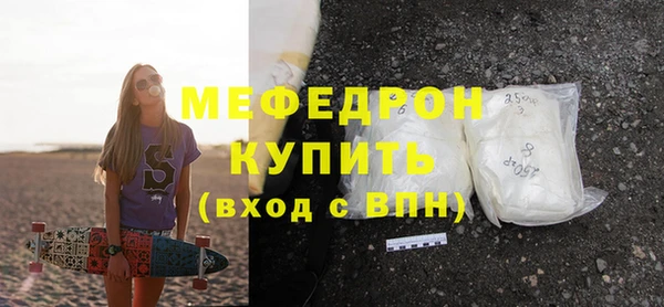 индика Инта