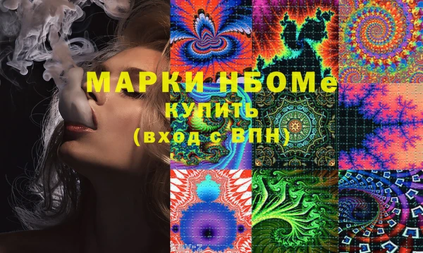 индика Инта