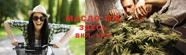 ALPHA PVP Инсар