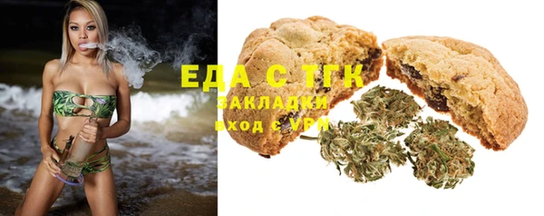 индика Инта