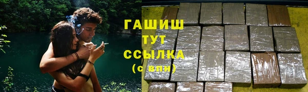 индика Инта