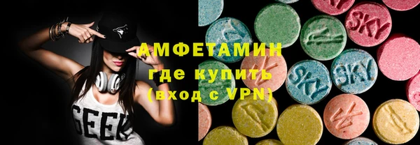 индика Инта