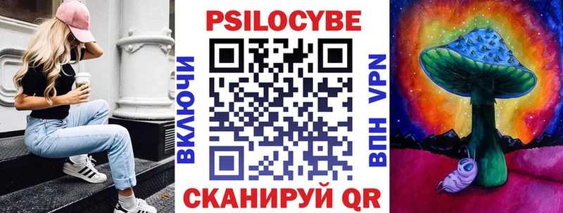 Купить закладки  Камень-на-Оби  Псилоцибиновые грибы Cubensis 